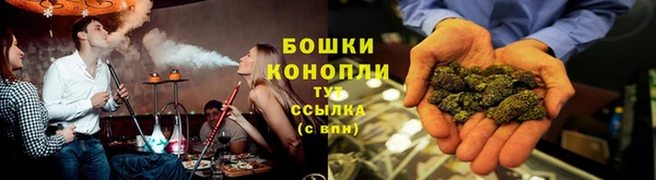 стаф Магадан