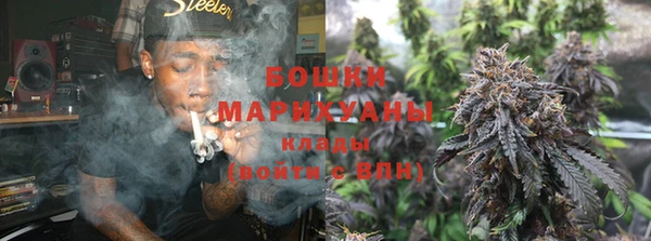 стаф Магадан