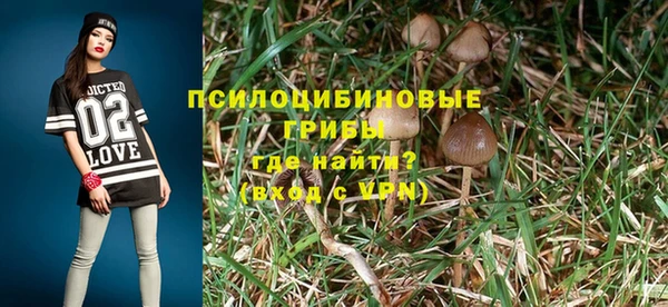 герыч Майский