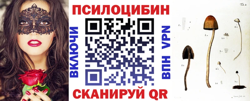 продажа наркотиков Солнечногорск Псилоцибиновые грибы Magic Shrooms