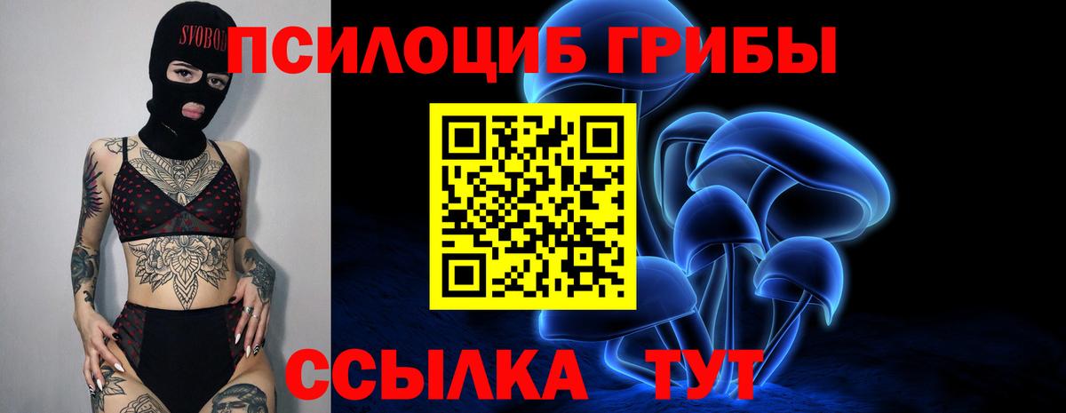 Солнечногорск  Галлюциногенные грибы Magic Shrooms  Вход с VPN  Псилоцибиновые грибы Cubensis 